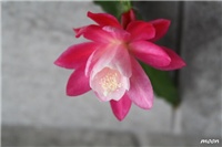 7eba0da0-IMG_2100.JPG