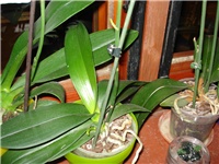 7f04fee2-DSC06643.JPG