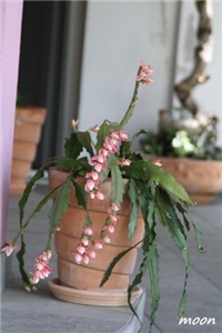 7f68ceea-IMG_1428.JPG