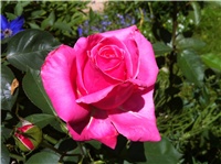 8007e4ea-IMG_0940.JPG