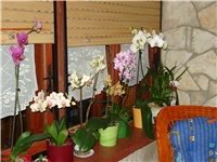 806b4397-DSC05661.JPG