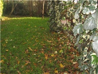 80a553fc-IMG_0054.JPG