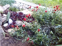 80e72e03-IMG_20140501_165942.jpg
