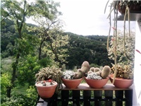 80e76575-010.jpg