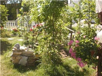 8123aee9-P6220624.JPG