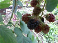 815ae0e5-DSCN1023.JPG