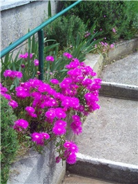 81e55cfe-101_2074.jpg