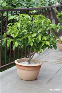 8264fda5-IMG_1865.JPG