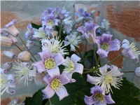 82ffb608-P1000558.JPG