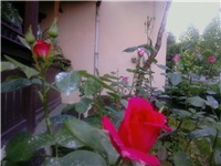 83dbc0e0-P27-05-10_19.38.jpg