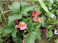 84060b93-DSCI2045.JPG