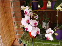 84cbfac0-DSC06296.JPG