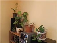 86628342-sshot-2012-10-25-12-03-29.jpg