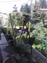 8850e668-P040614_10.09_01.jpg