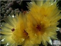 8939c27c-IMG_3421.JPG