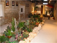 895e61eb-IMG_2783.jpg