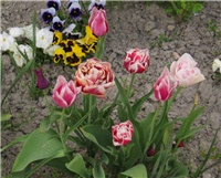 897bde33-sshot-2013-05-04-00-55-32.png