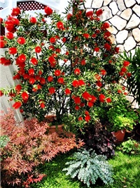 8a3d7ce5-260033_231954270165152_786978_n.jpg