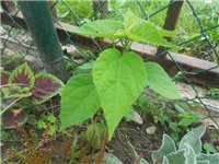 8b07ca0e-DSCN0849.JPG