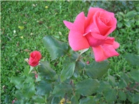 8b0be212-IMG_3951.jpg