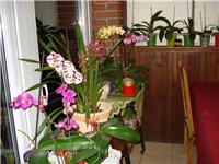8b831447-DSC06667.JPG