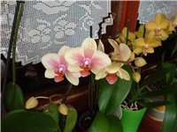 8b90ca60-DSC05632.JPG
