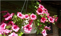8c9f2375-IMAG0500.jpg
