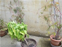 8ca22f8f-P1010190.JPG
