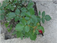 8d227f3c-sshot-2012-06-25-19-36-55.jpg
