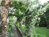 8d342536-IMG_0002.JPG