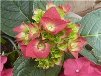 8d449db7-P1050324.JPG