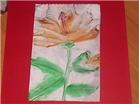 8d78a12f-hibiskus.jpg