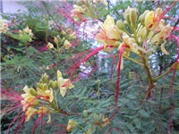 8db7daff-DSCN1121.JPG