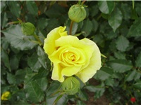 8e5ffb75-P9280024.JPG