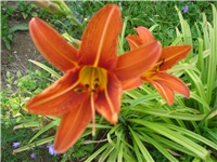 8ede7900-DSC06338.JPG