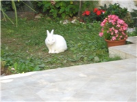 8ee13560-IMG_0025.JPG