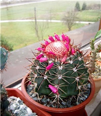 8ee3fa66-003.JPG