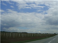 8f5a90d3-P3030034.JPG