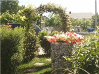 918fae28-P6220617.JPG