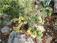 91c9d7db-DSCN1090.JPG