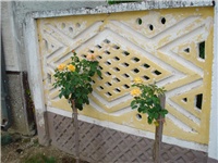 91ec039e-DSC06316.JPG