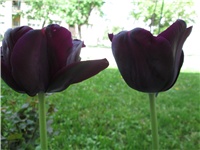 9224ec74-IMG_0267.jpg