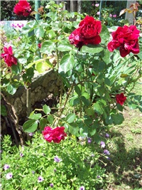 92832df5-101_1730.jpg
