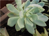 92cbead8-DSCN1313.JPG