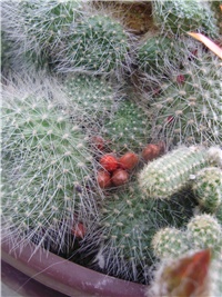 92d5e86e-PA090002.JPG