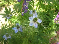 92d8c147-IMG_3933.jpg