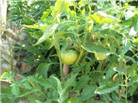 93add1e6-101_2410.jpg