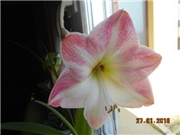 93cf5df6-DSCN2637.JPG