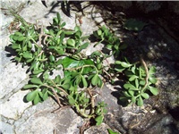 93f9bf71-101_1747.jpg