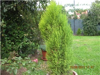 94114b9d-078.JPG